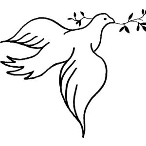 Meet your Posher, Toula